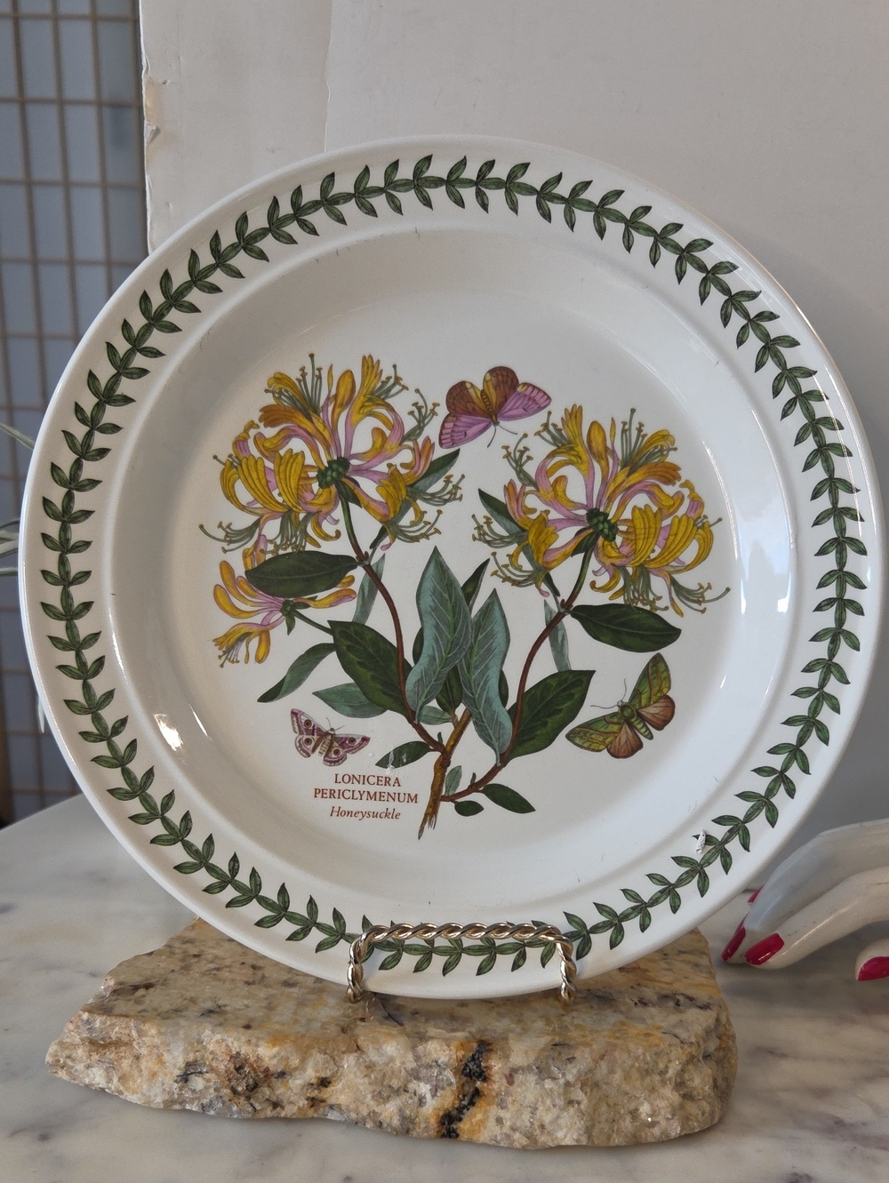 Vintage | Portmeirion The Botanic Garden Dinner Plates 10.5" Set 4 - Picture 3 of 7